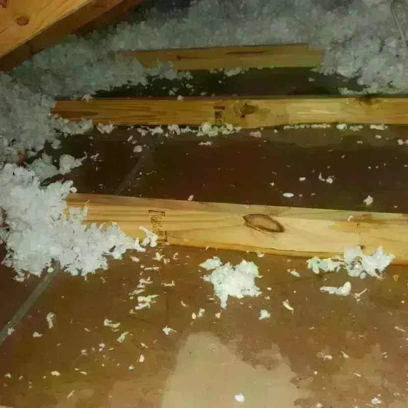 Attic Water Damage in Ephrata, WA